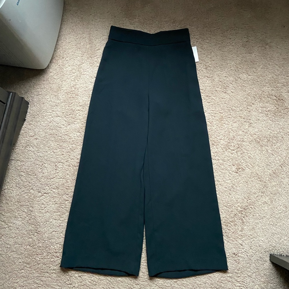 NWT Rare Find! Zara Green Culottes Wide Leg Pants